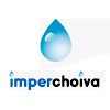 Negocio Imperchoiva Sl