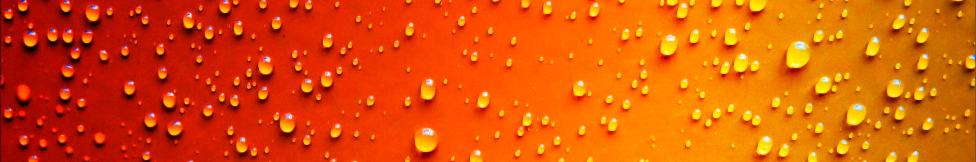 Servicios de impermeabilización en España